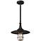Allegheny 13" Wide Centennial Rust Outdoor Hanging Light