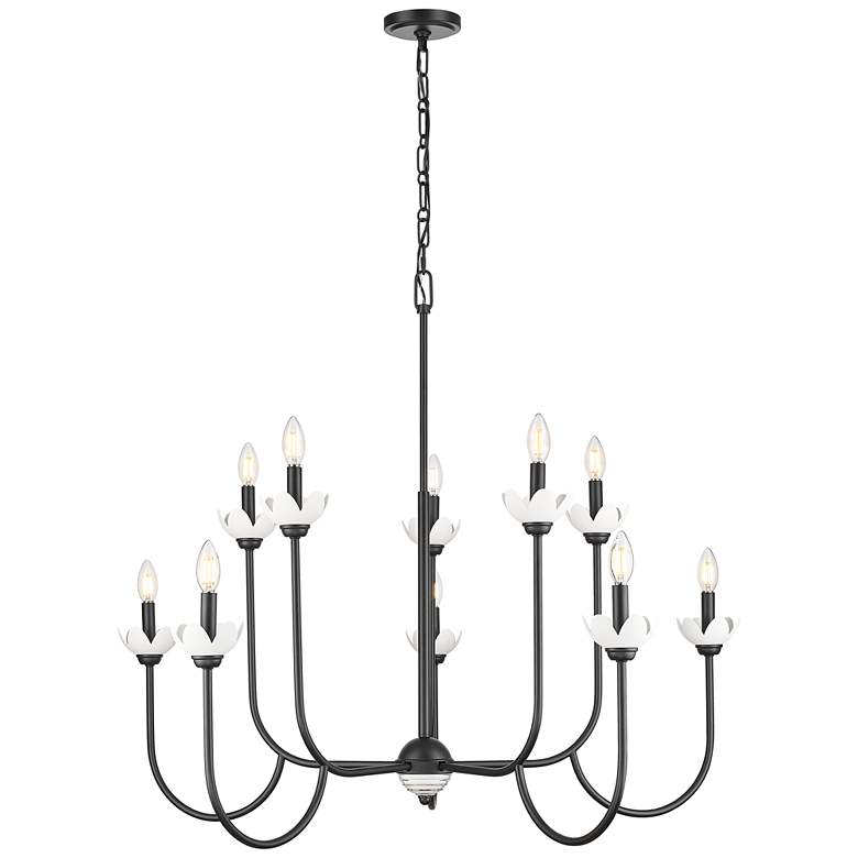 Image 1 Allistair by Z-Lite Matte Black 10 Light Chandelier