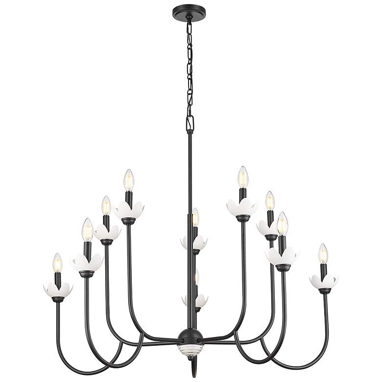 Image 5 Allistair by Z-Lite Matte Black 10 Light Chandelier more views