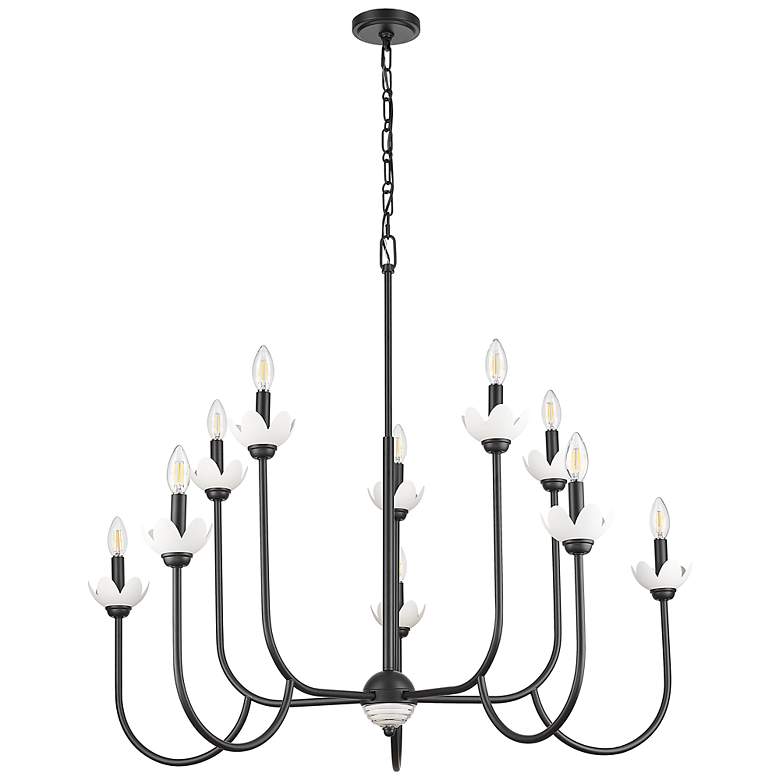 Image 7 Allistair by Z-Lite Matte Black 10 Light Chandelier more views