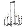 4_Allistair by Z-Lite Matte Black 12 Light Linear Chandelier more views