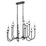 7_Allistair by Z-Lite Matte Black 12 Light Linear Chandelier more views