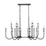 1_Allistair by Z-Lite Matte Black 16 Light Linear Chandelier