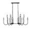 Allistair by Z-Lite Matte Black 16 Light Linear Chandelier