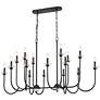 4_Allistair by Z-Lite Matte Black 16 Light Linear Chandelier more views
