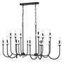 5_Allistair by Z-Lite Matte Black 16 Light Linear Chandelier more views
