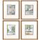 Along the Way I 17"W x 19"H Framed Art Set of 4