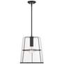 Alonzo 14 in. 1-Light Matte Black Transitional Pendant Light