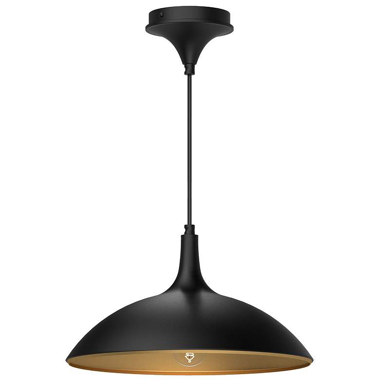 Image 1 Alora Mood Abel E26 14-in Matte Black Pendant