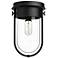 Alora Mood Cyrus E26 8-in Clear Glass/Matte Black Flush Mount