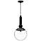 Alora Mood Delilah E26 10-in Clear Glass/Matte Black Pendant