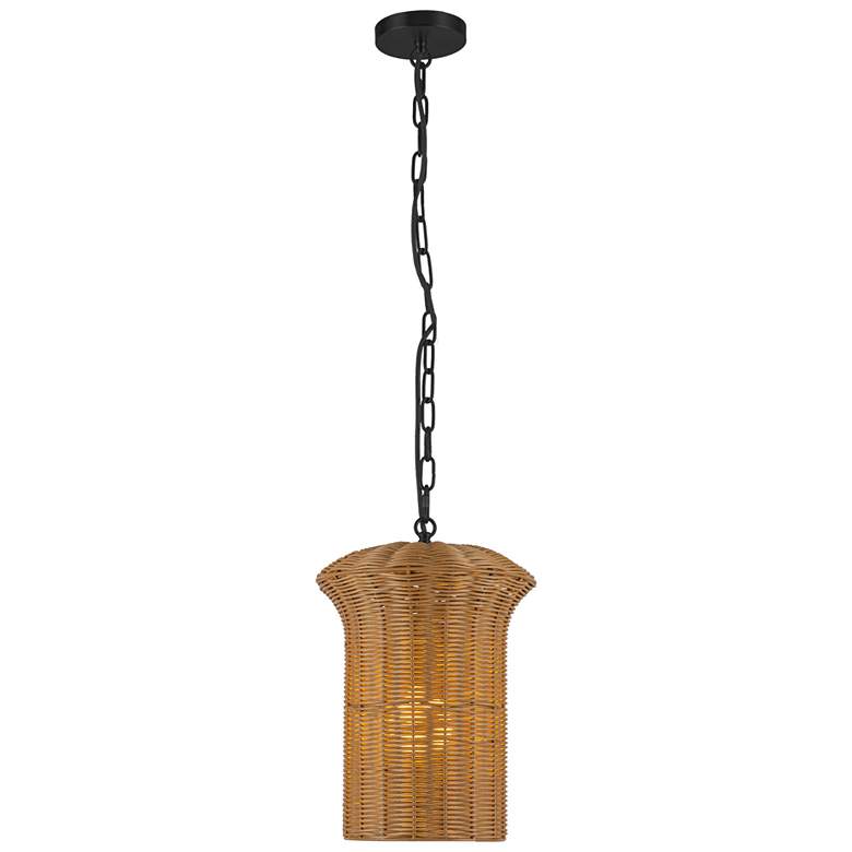 Image 1 Alora Mood Kai E26 11-in Matte Black Pendant