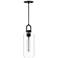Alora Mood Soji E26 5-in Clear Glass/Matte Black Pendant