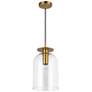 4_Alora Mood Sylvia E26 8-in Brushed Gold/Clear Glass Pendant more views