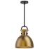 Alora Mood Waldo E26 11-in Matte Black/Aged Gold Pendant