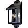 Alpine Collection 16 1/4" High Outdoor Wall Light