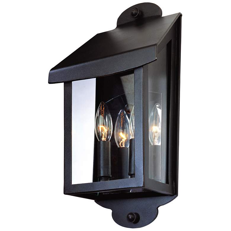 Image 1 Alpine Collection 16 1/4 inch High Outdoor Wall Light