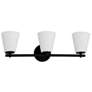 4_Alpino 25" High Matte Black 3-Light Bath Light more views