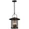 Altamont 17 3/4"H French Iron Outdoor Hanging Light