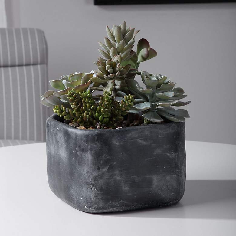 Image 1 Alverio Green Succulent 12 inchW Faux Plant in Concrete Planter