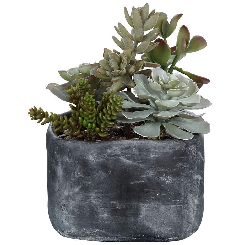 Image 3 Alverio Green Succulent 12 inchW Faux Plant in Concrete Planter more views