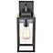 Alyssia 13" High Powder-Coated Bronze Outdoor Wall Light