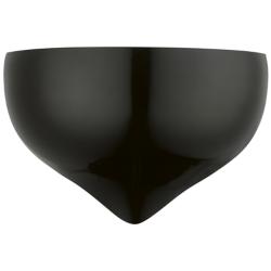Amador 1 Light Shiny Black Wall Sconce