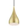 5_Amador 1 Light Soft Gold with Polished Brass Accents Mini Pendant more views