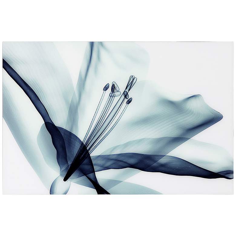 Image 2 Amaryllis 48"W Free Floating Tempered Glass Graphic Wall Art