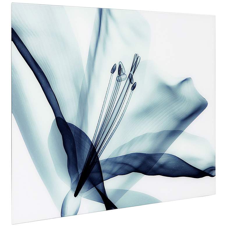 Image 4 Amaryllis 48"W Free Floating Tempered Glass Graphic Wall Art more views
