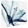 Amaryllis 48"W Free Floating Tempered Glass Graphic Wall Art in scene