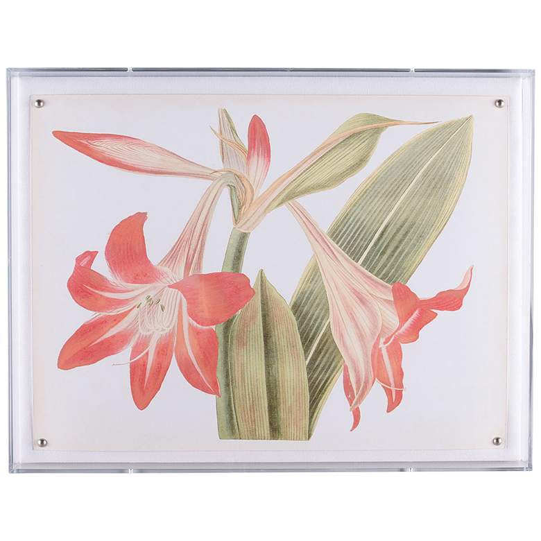 Image 1 Amaryllis I 26 inchW Shadow Box Framed Giclee Canvas Wall Art