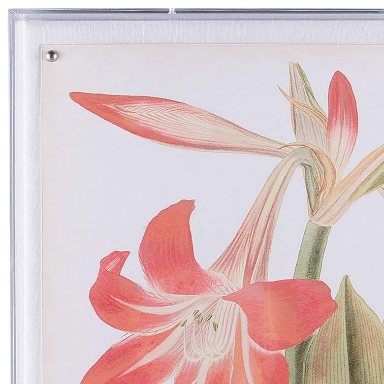 Image 2 Amaryllis I 26 inchW Shadow Box Framed Giclee Canvas Wall Art more views