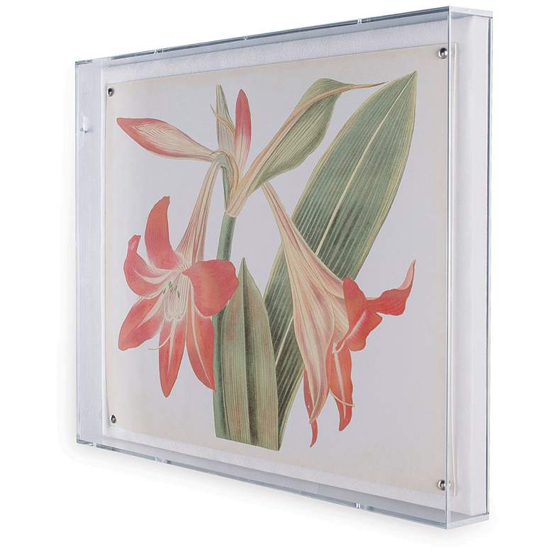 Image 3 Amaryllis I 26 inchW Shadow Box Framed Giclee Canvas Wall Art more views