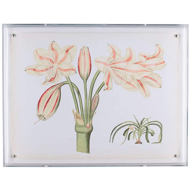 Image 1 Amaryllis II 26 inchW Shadow Box Framed Giclee Canvas Wall Art