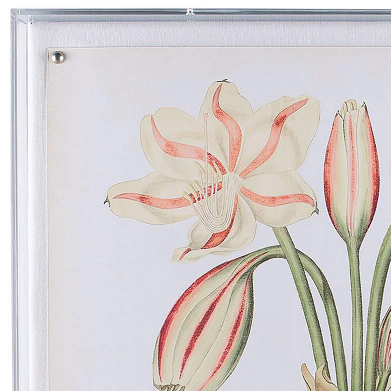 Image 2 Amaryllis II 26"W Shadow Box Framed Giclee Canvas Wall Art more views