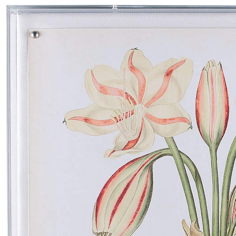 Image 2 Amaryllis II 26 inchW Shadow Box Framed Giclee Canvas Wall Art more views