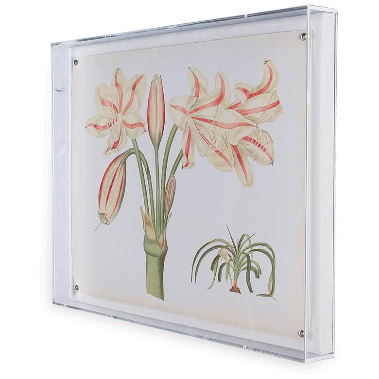 Image 3 Amaryllis II 26 inchW Shadow Box Framed Giclee Canvas Wall Art more views