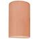 Ambiance 12 1/2"H Blush Cylinder Closed ADA Outdoor Sconce