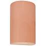 Ambiance 12 1/2"H Blush Cylinder Closed ADA Outdoor Sconce