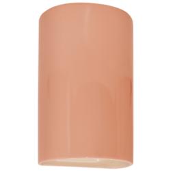 Ambiance 12 1/2&quot;H Gloss Blush Cylinder Outdoor Wall Sconce
