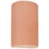 Ambiance 12 1/2"H Gloss Blush Cylinder Outdoor Wall Sconce