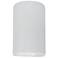 Ambiance 12 1/2"H Gloss White Cylinder LED Outdoor Sconce