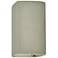 Ambiance 13 1/2" High Celadon Closed Top LED Outdoor Sconce