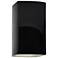 Ambiance 13 1/2"H Black White Closed LED ADA Outdoor Sconce