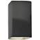 Ambiance 13 1/2"H Gray Rectangle Closed ADA Outdoor Sconce