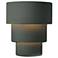 Ambiance 14.25" High Pewter Green Large Terrace Outdoor LED Wall Sconce