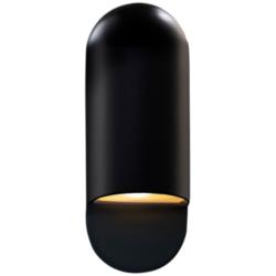 Ambiance 14" High Carbon Matte Black Outdoor Wall Light