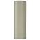Ambiance 17"H Celadon Crackle Tube LED ADA Outdoor Sconce