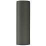 Ambiance 17"H Pewter Green Tube Closed ADA Outdoor Sconce